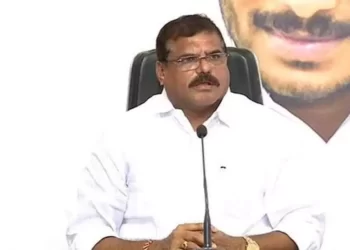 నోరుందని పవన్‌ ఇష్టానుసారంగా మాట్లాడతారా?: బొత్స