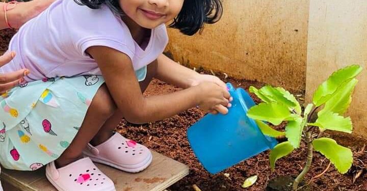 గ్రీన్ ఛాలెంజ్ స్వీకరించిన చిన్నారి నిహిర