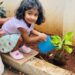 గ్రీన్ ఛాలెంజ్ స్వీకరించిన చిన్నారి నిహిర