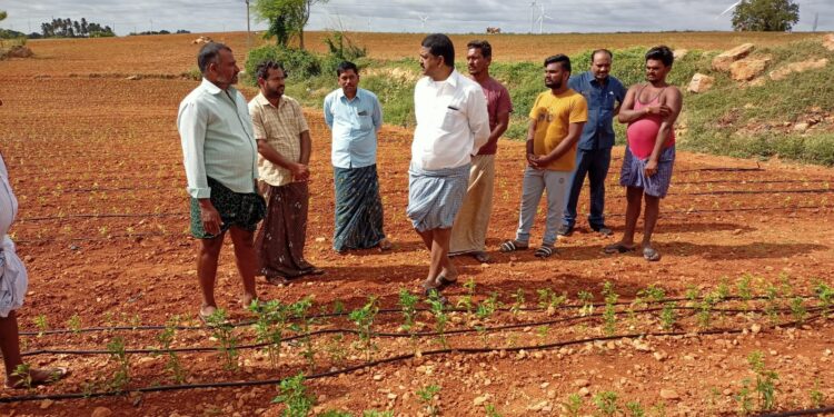వ్యవసాయ పనుల్లో ఎమ్మెల్యే పయ్యావుల కేశవ్