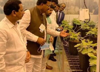 ప్రపంచంలో ప్రధానమైన వాణిజ్య పంట పత్తి