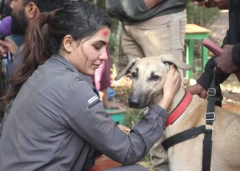 Yashoda has enthralling Action Sequences featuring never before visuals!!