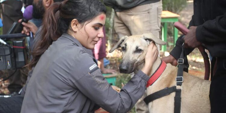 Yashoda has enthralling Action Sequences featuring never before visuals!!