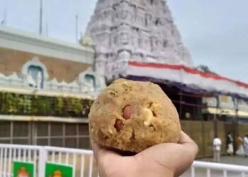 హైకోర్టుకు చేరిన శ్రీవారి లడ్డూ వివాదం