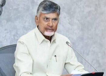 స్వర్ణాంధ్ర విజన్‌ డాక్యుమెంట్‌ గురించి ప్రధానికి వివరించా: చంద్రబాబు