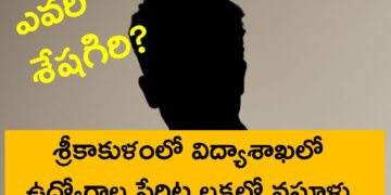 శ్రీకాకుళంలో విద్యాశాఖలో ఉద్యోగాల పేరిట లక్షల్లో వసూళ్లు.. ఎవరీ శేషగిరి?
